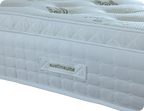Aloe Vera 1500