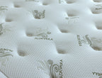 Aloe Vera 1500